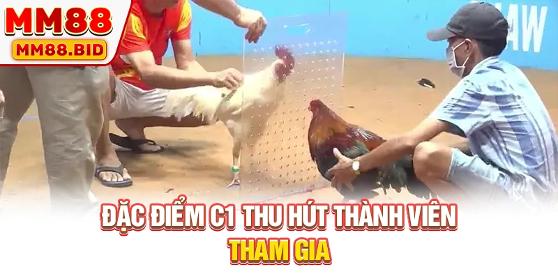 Đặc điểm C1 thu hút thành viên tham gia