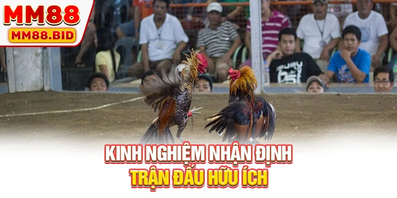 Kinh nghiệm nhận định trận đấu hữu ích