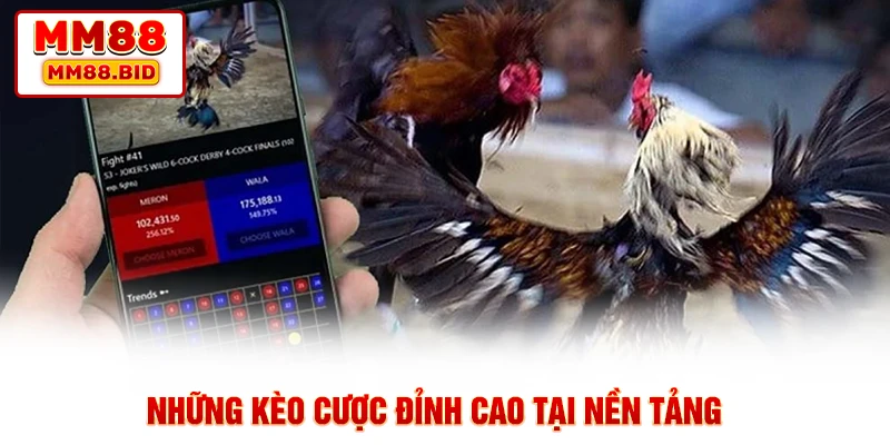 Những kèo cược đỉnh cao tại nền tảng