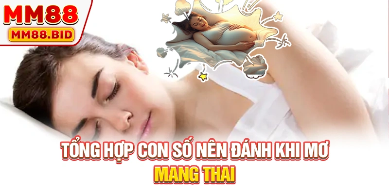 Tổng hợp con số nên đánh khi mơ mang thai