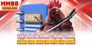 Luật Đá Gà Thomo Chuẩn Chỉnh Dành Cho Anh Em Mới Vào Nghề