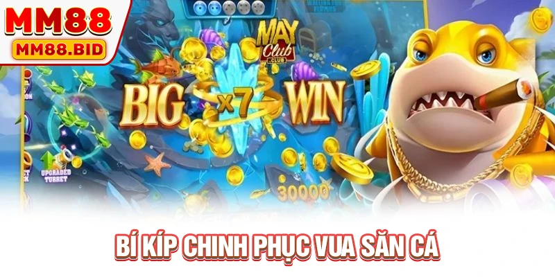Bí kíp chinh phục vua săn cá
